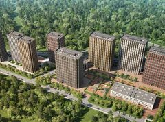 Москва без смога: как купить квартиру у леса и дышать полной грудью