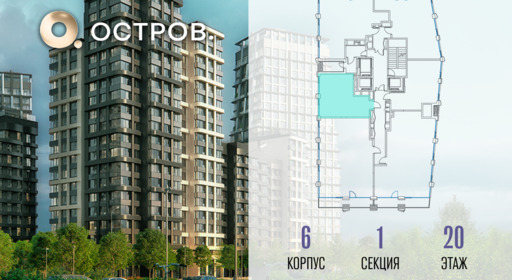 455449.png?v=1769680711