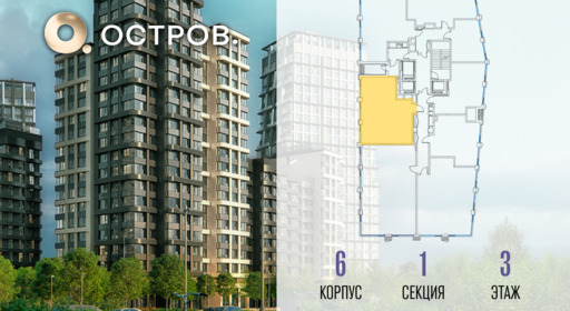 455357.png?v=1769680708