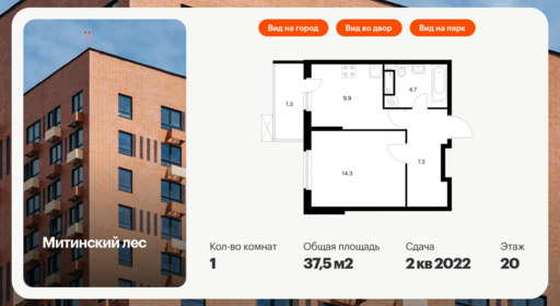 6265584.png?v=1763418899