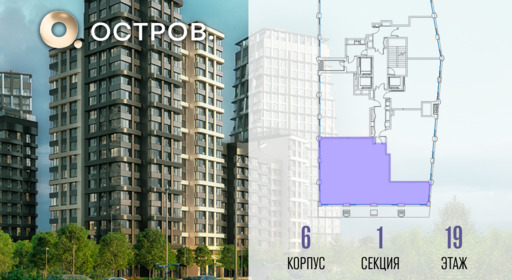 455377.png?v=1769680710