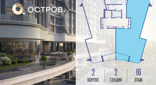 344206.png?v=1769680641