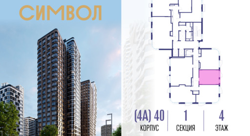 460379.png?v=1772190423