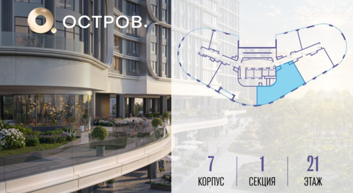 434161.png?v=1765291250