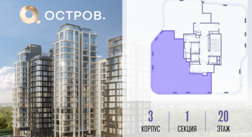 423791.png?v=1769680676