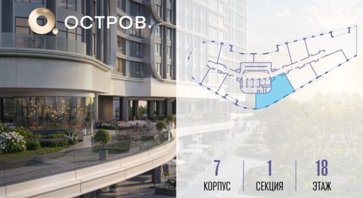 371370.png?v=1772576351