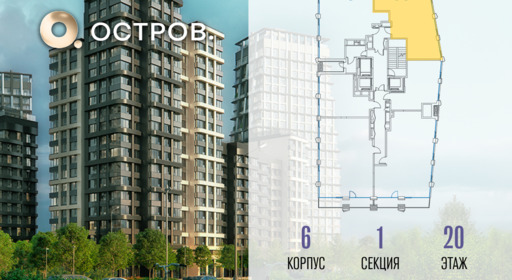 455450.png?v=1769680711