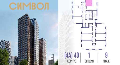 460423.png?v=1772190426