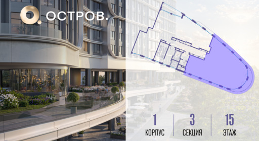 415981.png?v=1781130013