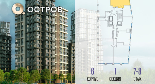 455311.png?v=1769680707