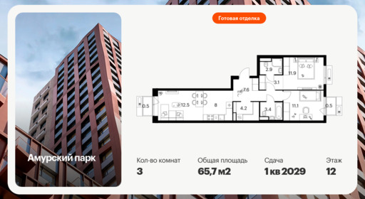 6373765.png?v=1771193856