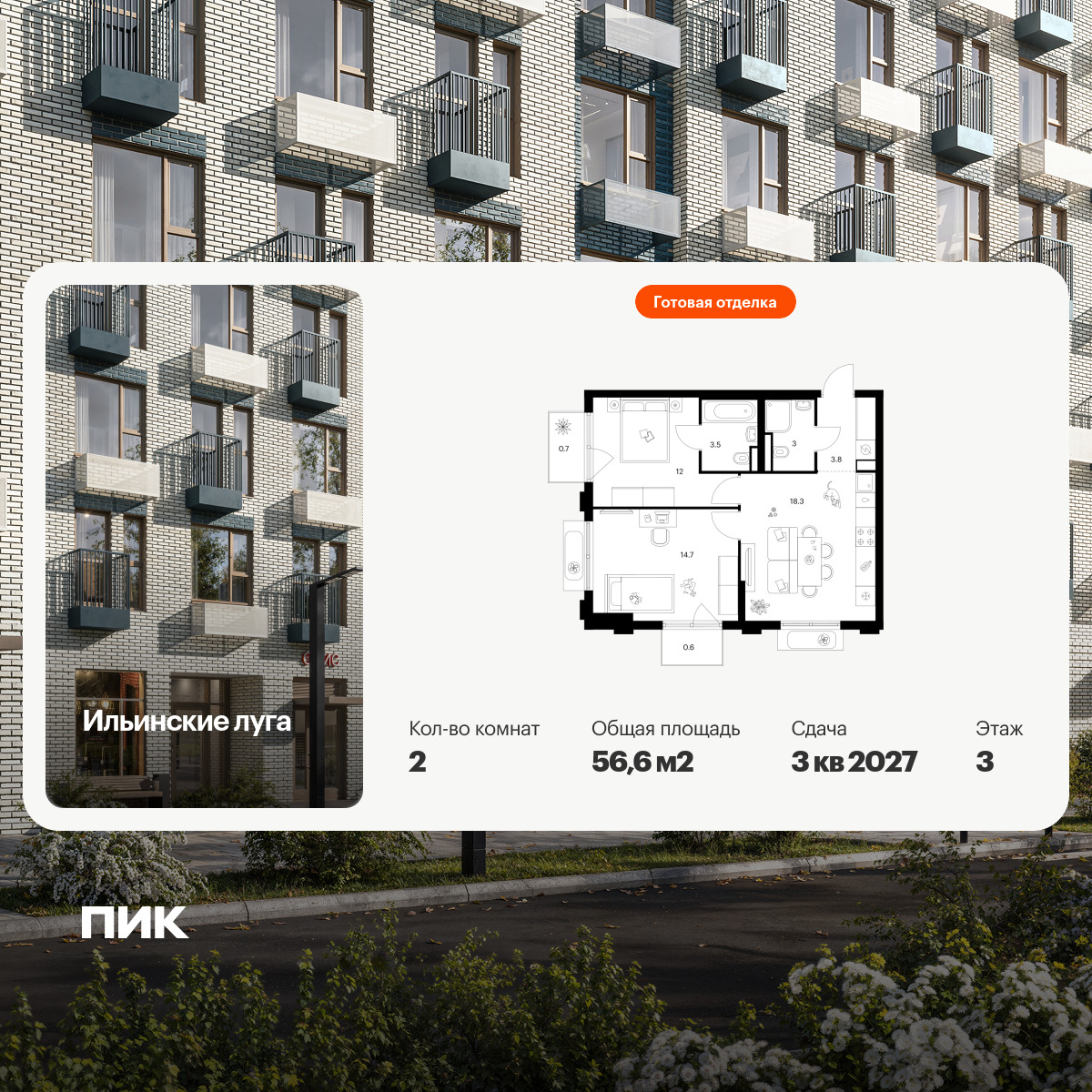 6380591.png?v=1771367127