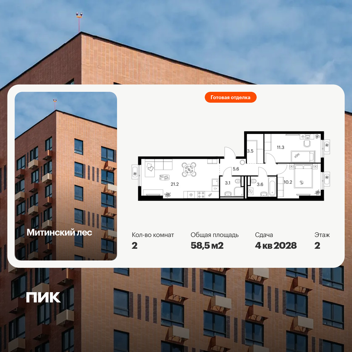 6381242.png?v=1771194002