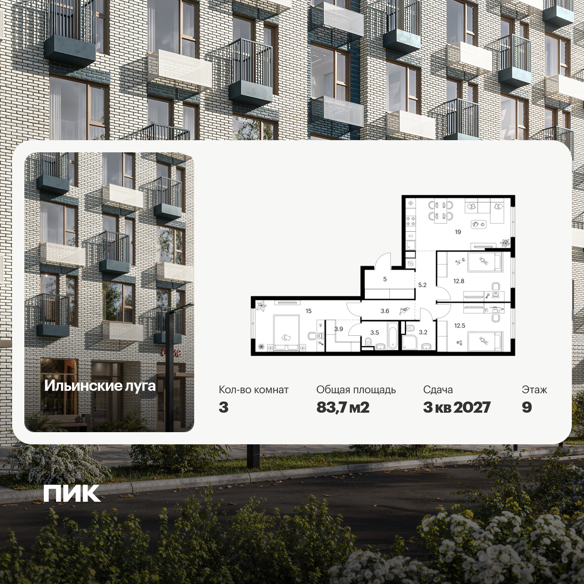 6456894.png?v=1776809854