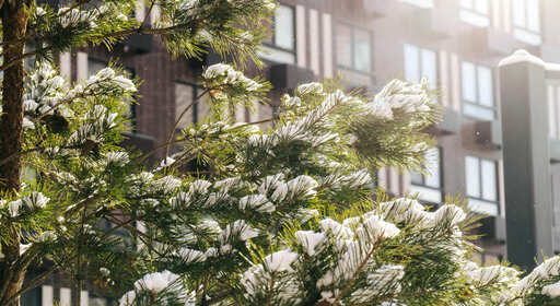 ЖК Никольские луга от ПИК Изображение опубликовано в информационных целях. Предоставлено  ПИК https://www.pik.ru/nluga