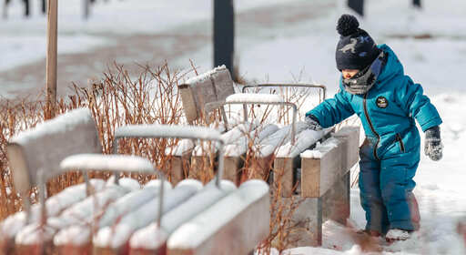 ЖК Никольские луга от ПИК Изображение опубликовано в информационных целях. Предоставлено  ПИК https://www.pik.ru/nluga