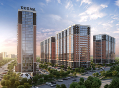 DOGMA планирует выйти на IPO в ближайшие два-три года