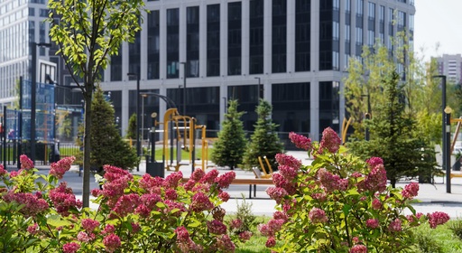 Фиолетово-розовые сады с луговыми и пряными травами разобьют на западе Москвы 