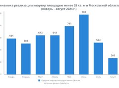 В Подмосковье студий площадью до 28 кв. м хватит на два года, а средняя площадь квартир может вырасти на 5 кв. м